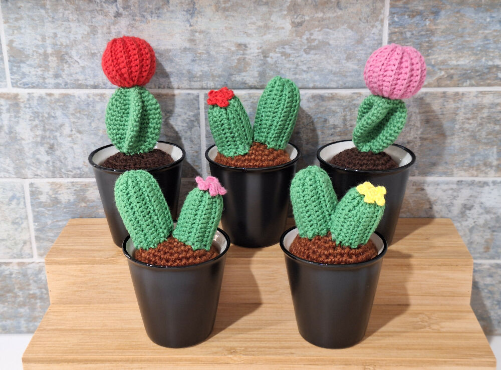 crochet succulents