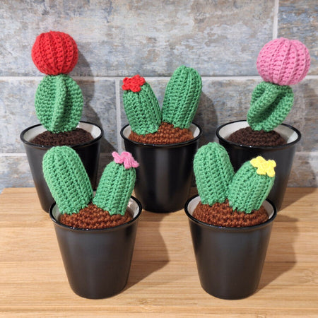 crocheted succulents room decoration