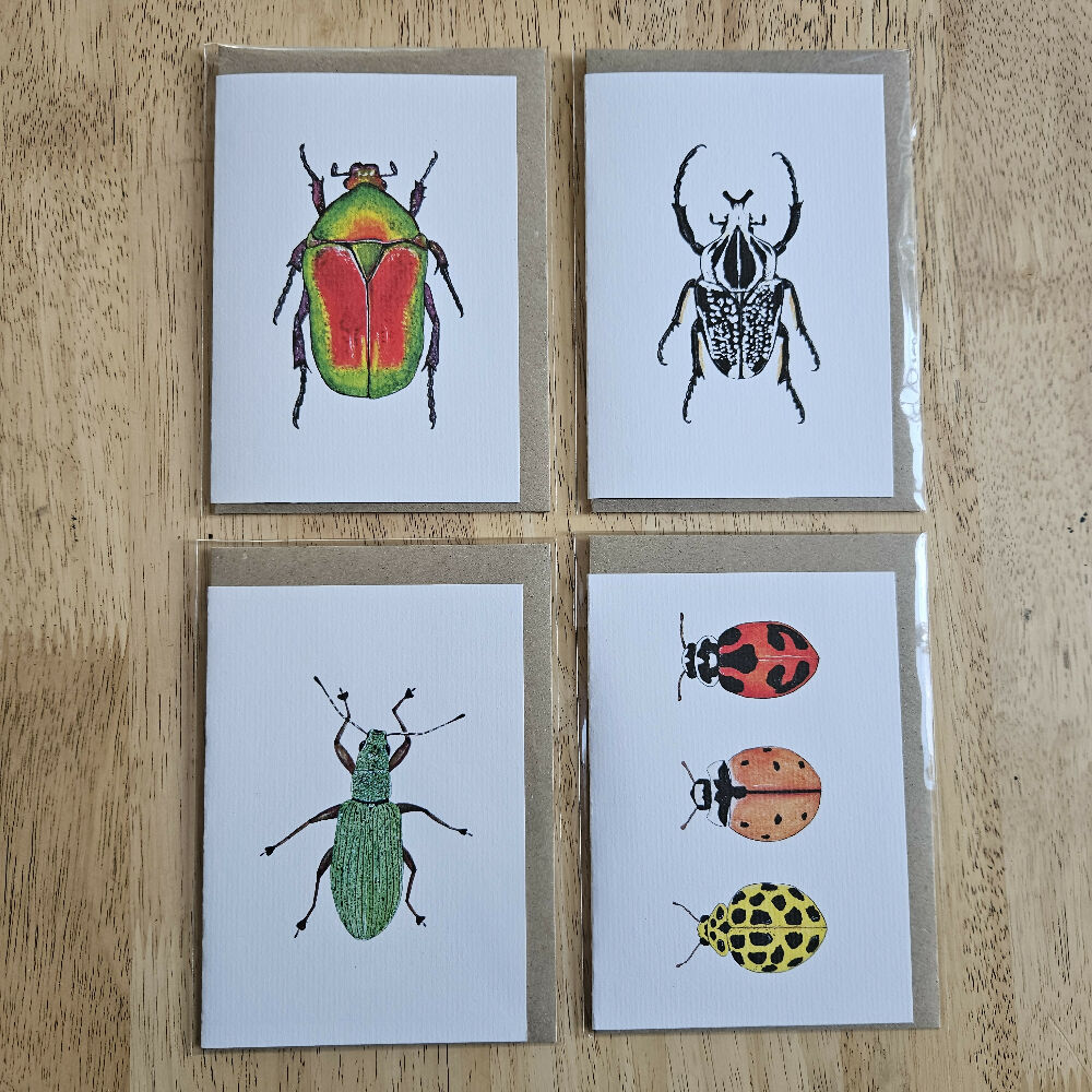 Watercolour Greeting Cards - Beetles - Set of 4