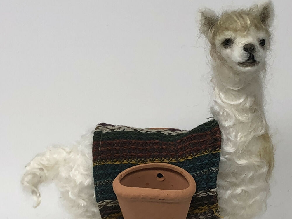 llama9