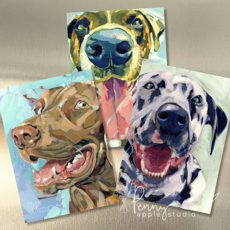 (3) Fridge Magnet Set – Choose your favourite set