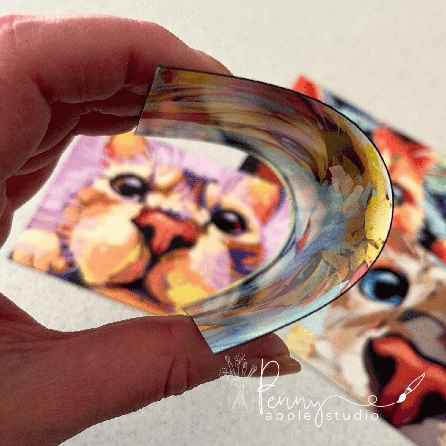 (1) Kitty Cat Fridge Magnet – Choose your favourite!