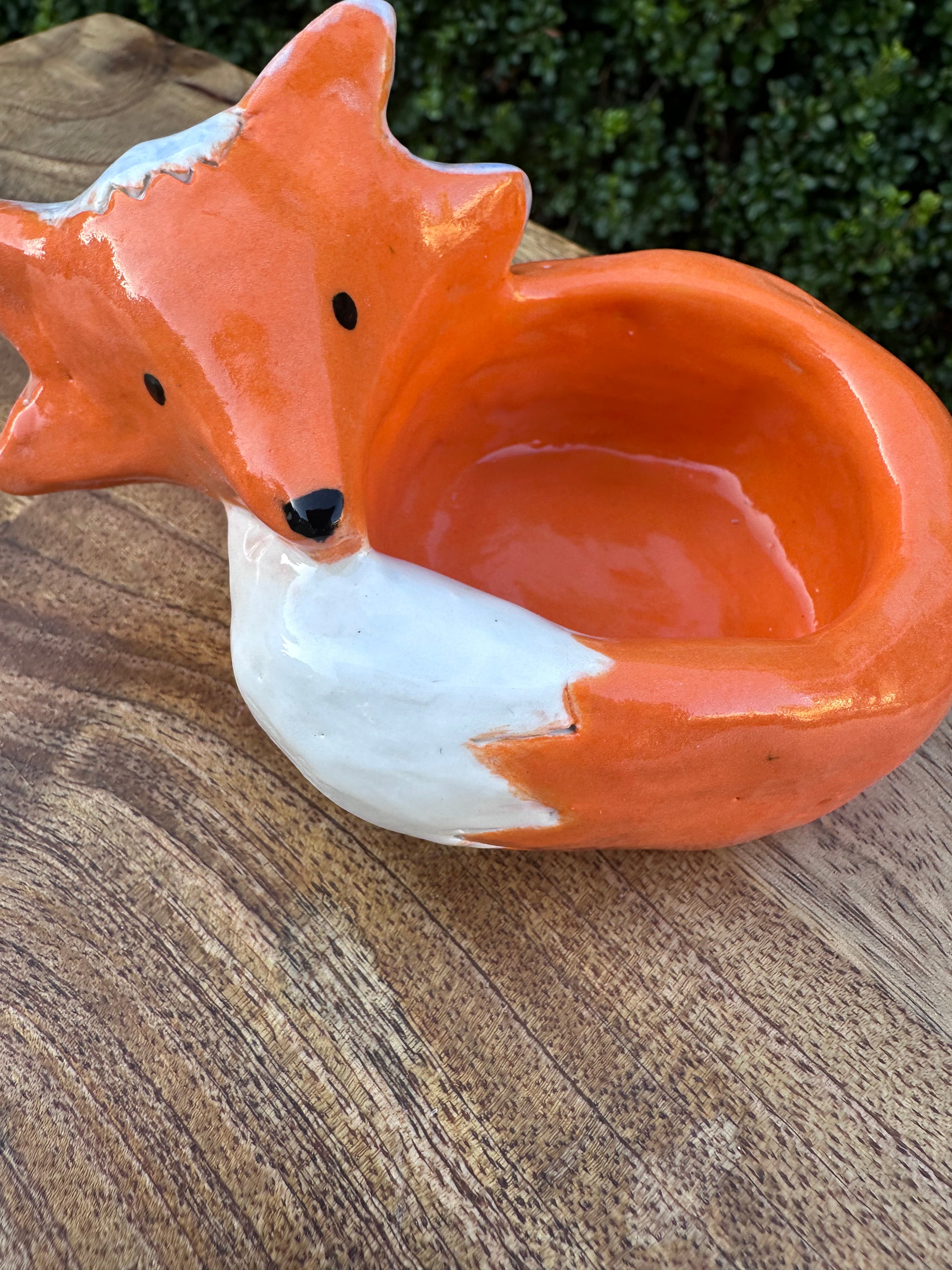 A Fox for the House