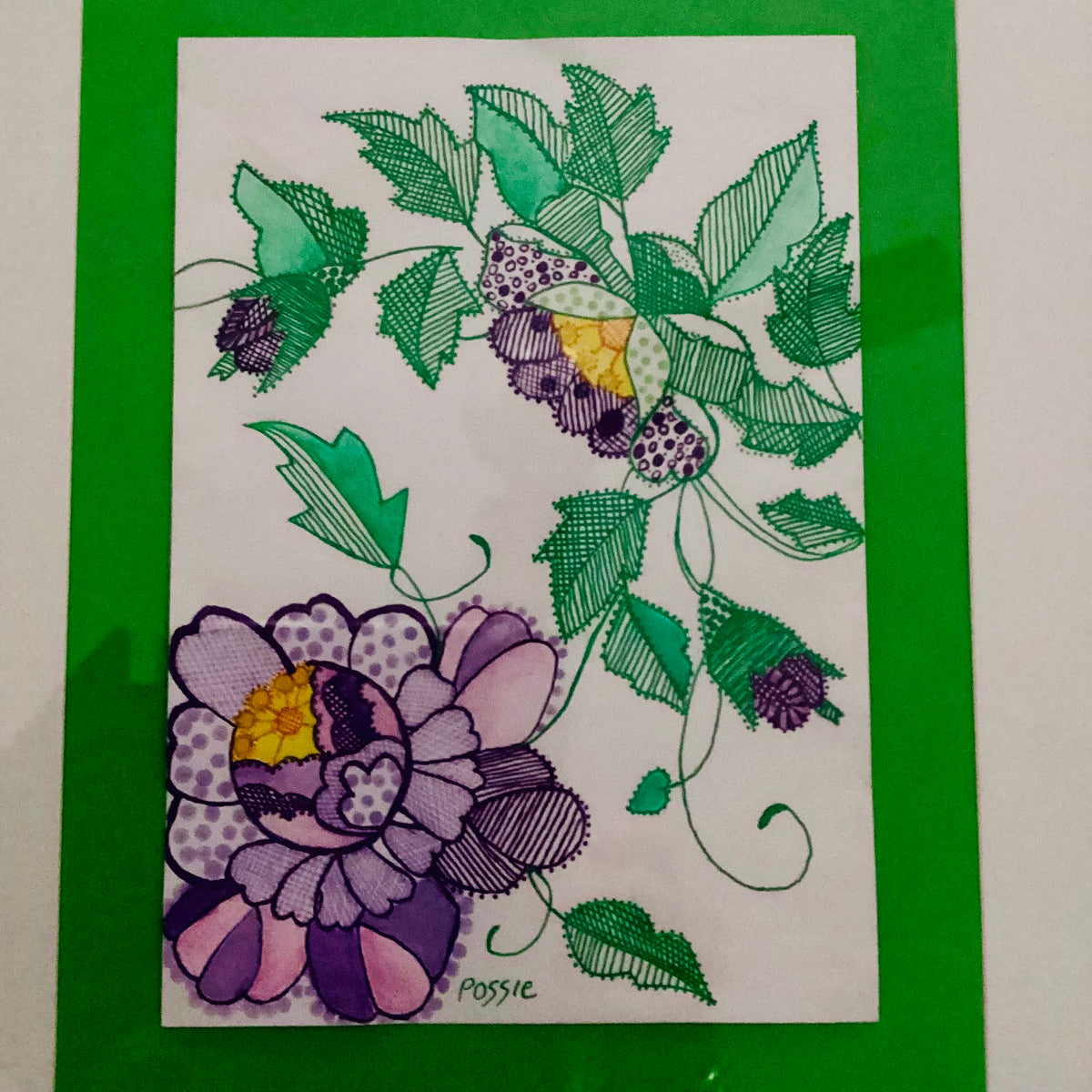 Original illustration of australian flora