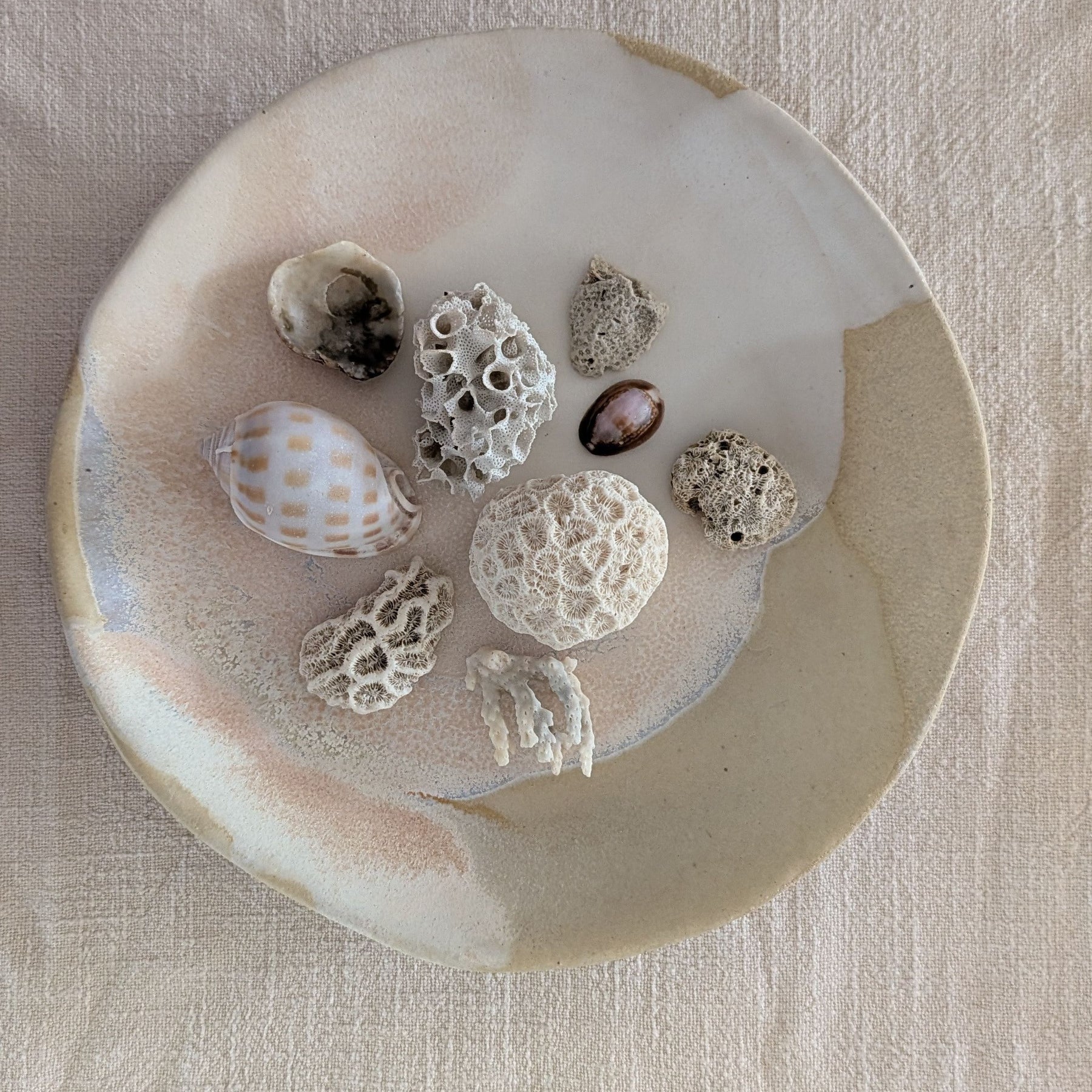 'All-Day Bowl' | coastal • functional • everyday