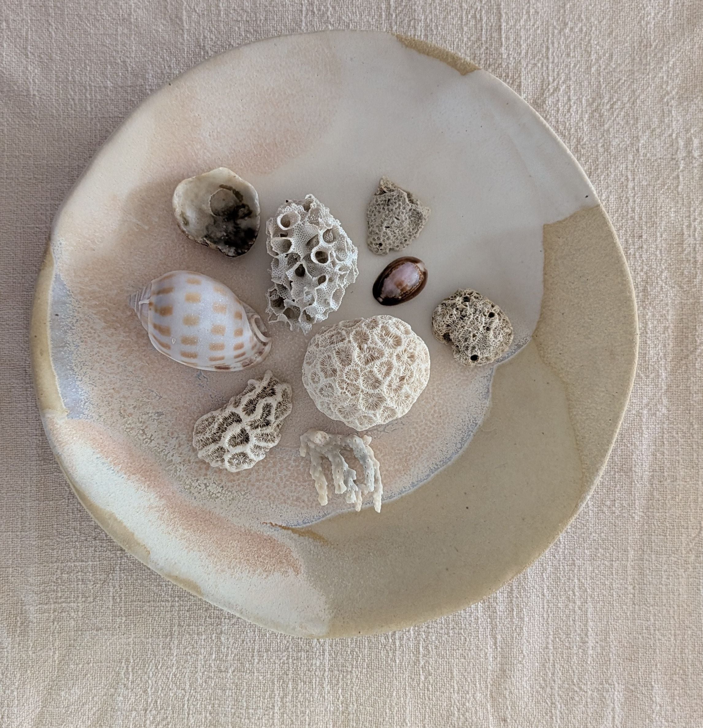 'All-Day Bowl' | coastal • functional • everyday