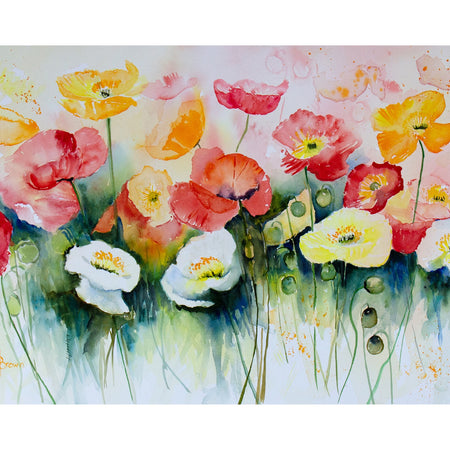 Colourful Poppies A3 Fine Art Print
