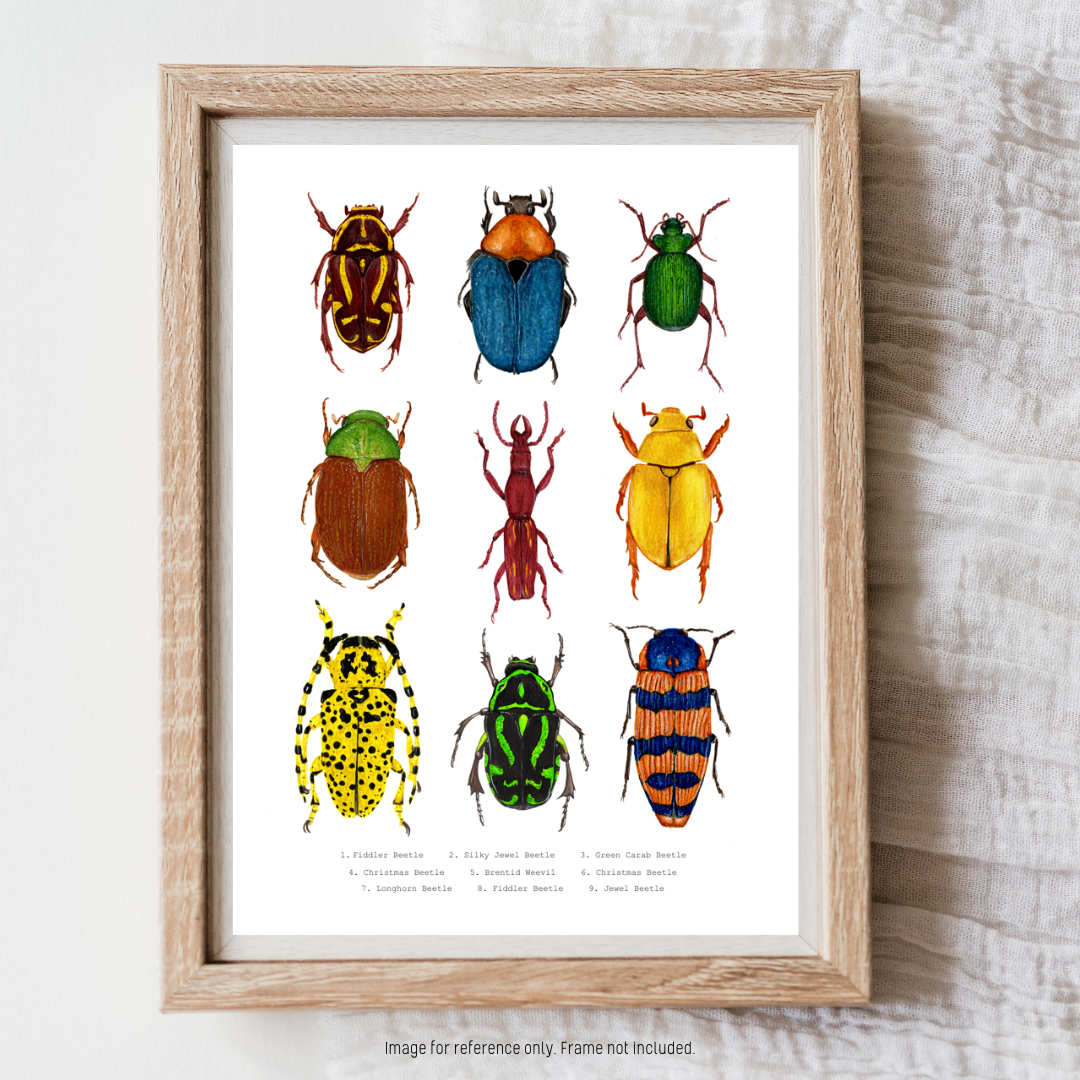 Watercolour Art Print - 'Australian Bug Collage'