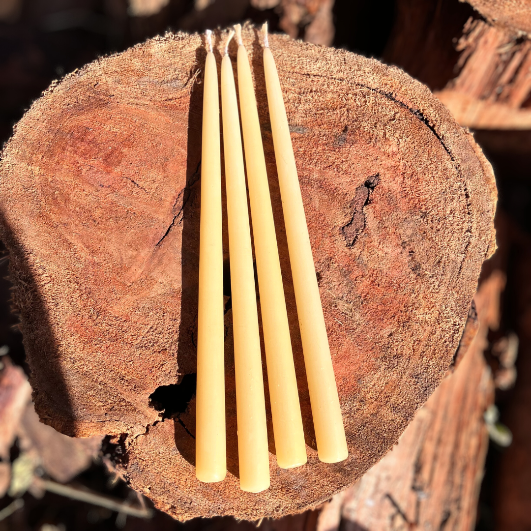 Slim Tall Beeswax Taper Candles | Romantic Dinner by Candlelight