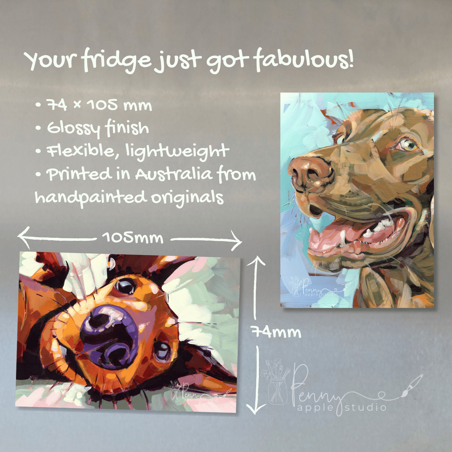 (3) Fridge Magnet Set – Choose your favourite set