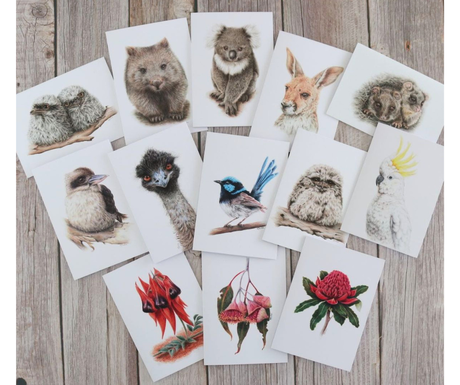 Australian Natives | Greeting Card Packs | Blank Greeting Card | Recycled
