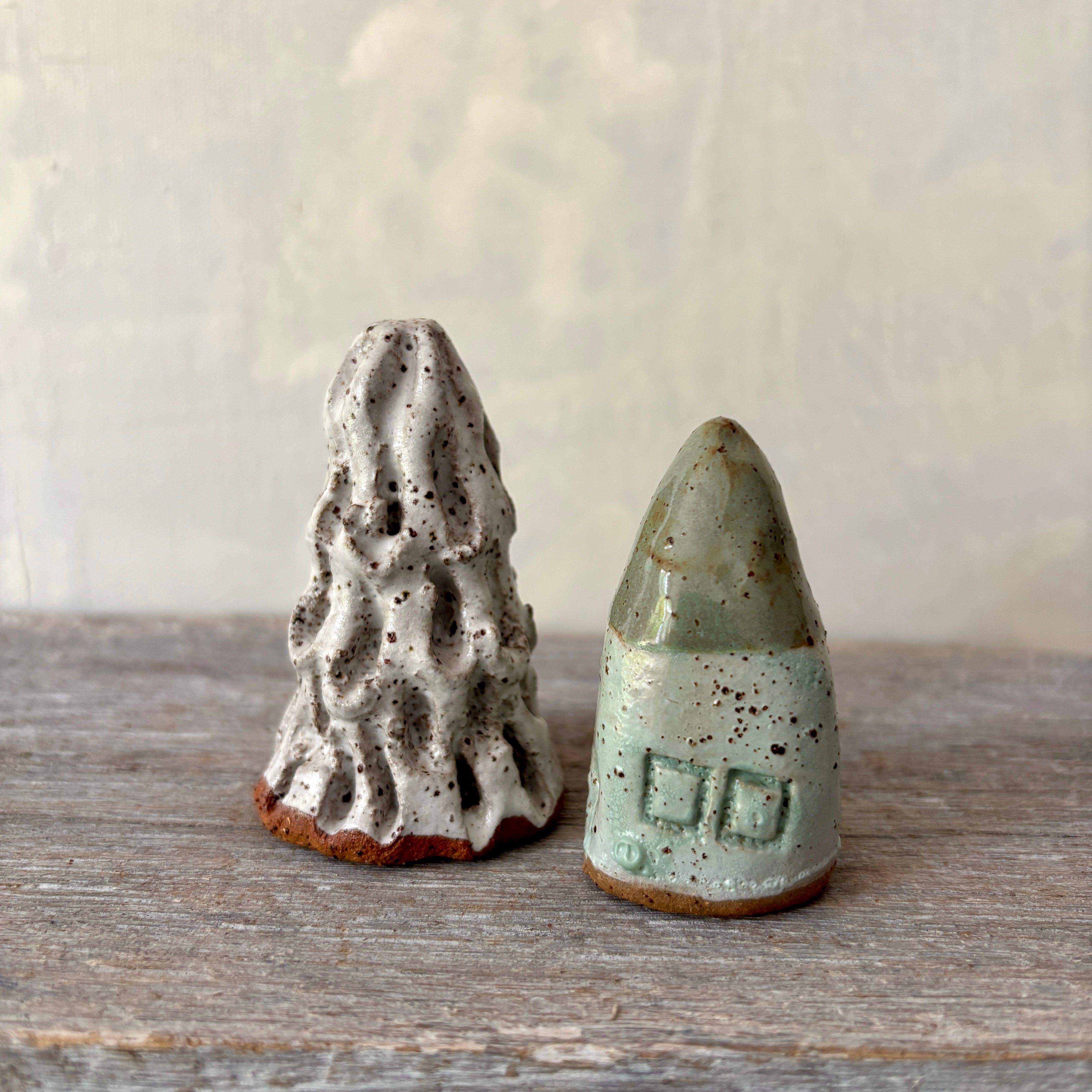 A cute tiny cottage with a little tree