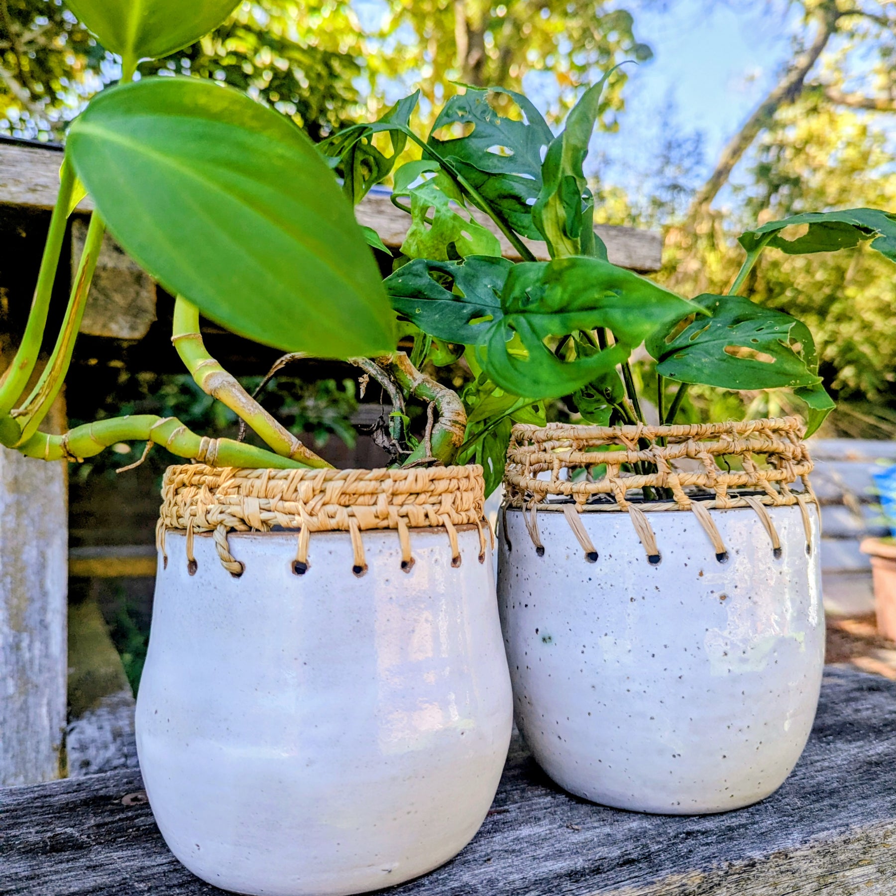Clay Planter Pots with Woven Edge |  Basketry Detail |Recycled Circular Clay Seagrass Raffia|