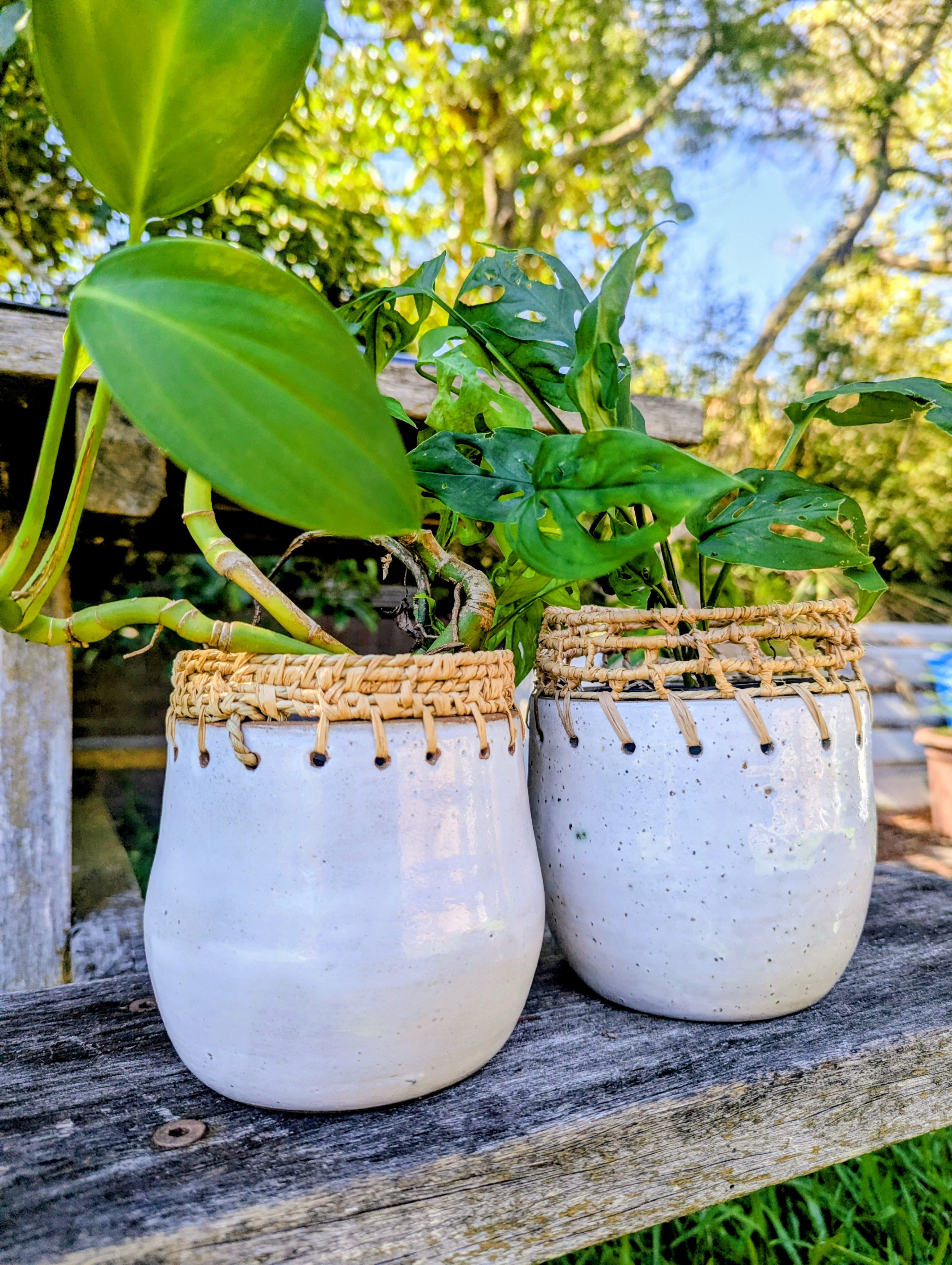 Clay Planter Pots with Woven Edge |  Basketry Detail |Recycled Circular Clay Seagrass Raffia|