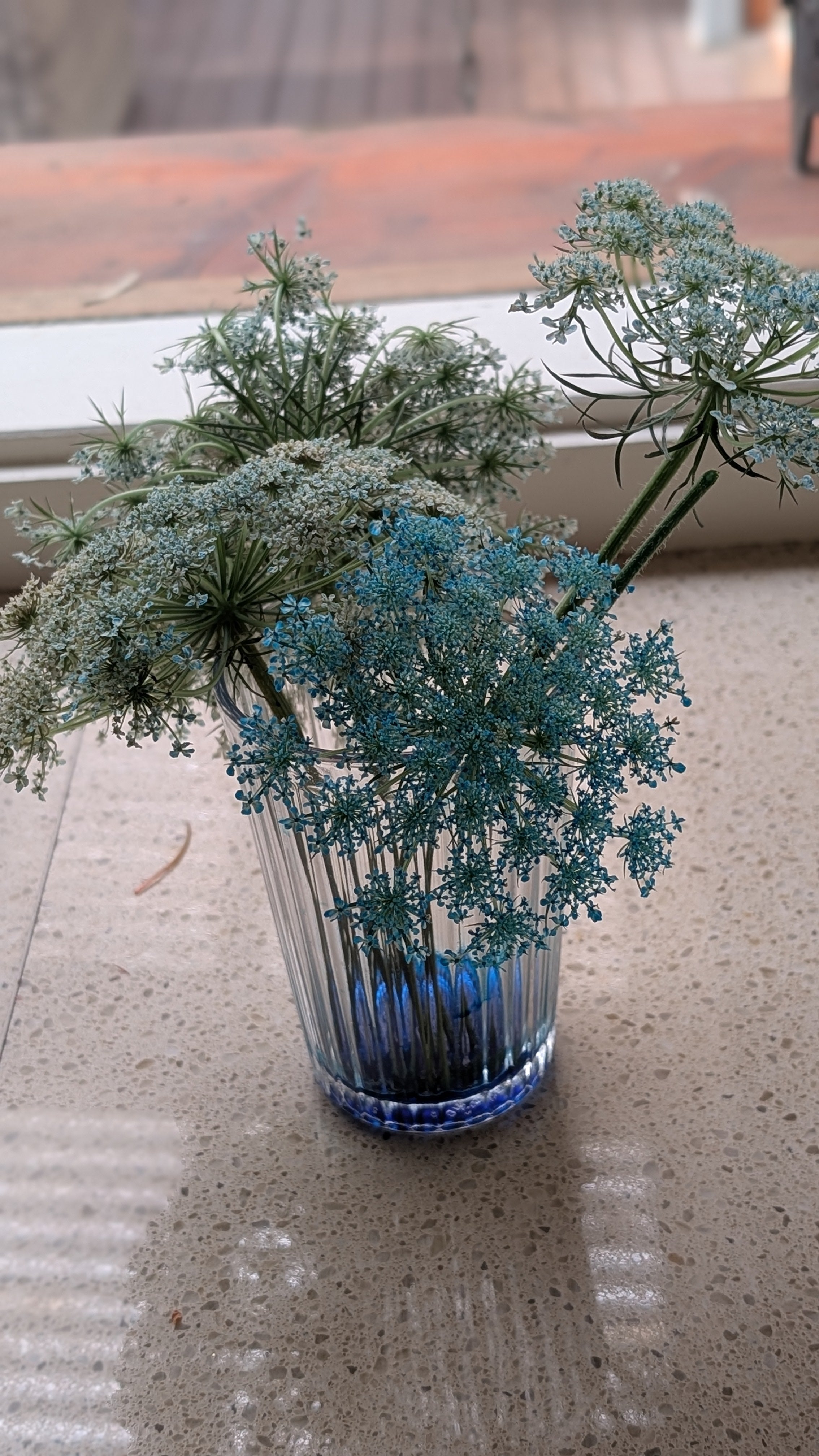 Queen Anne's Lace, teal dangles