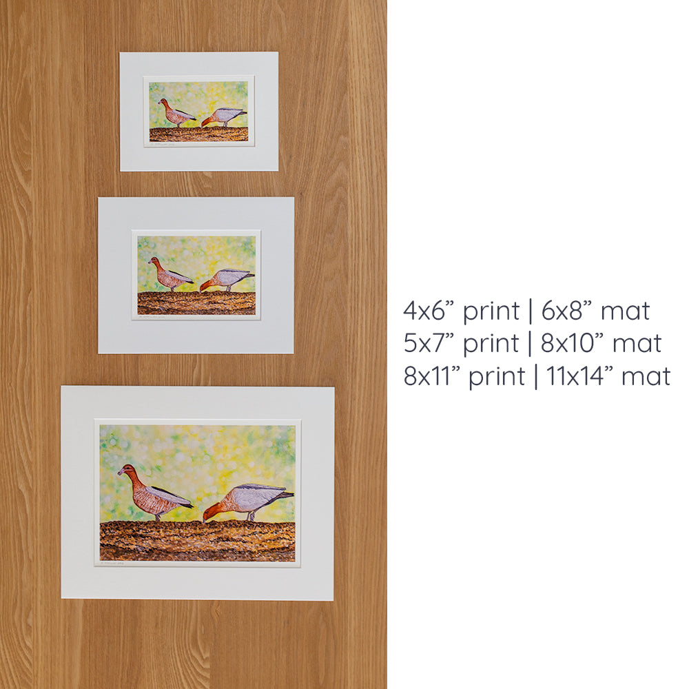 Print | Matted | Australian Wood Ducks