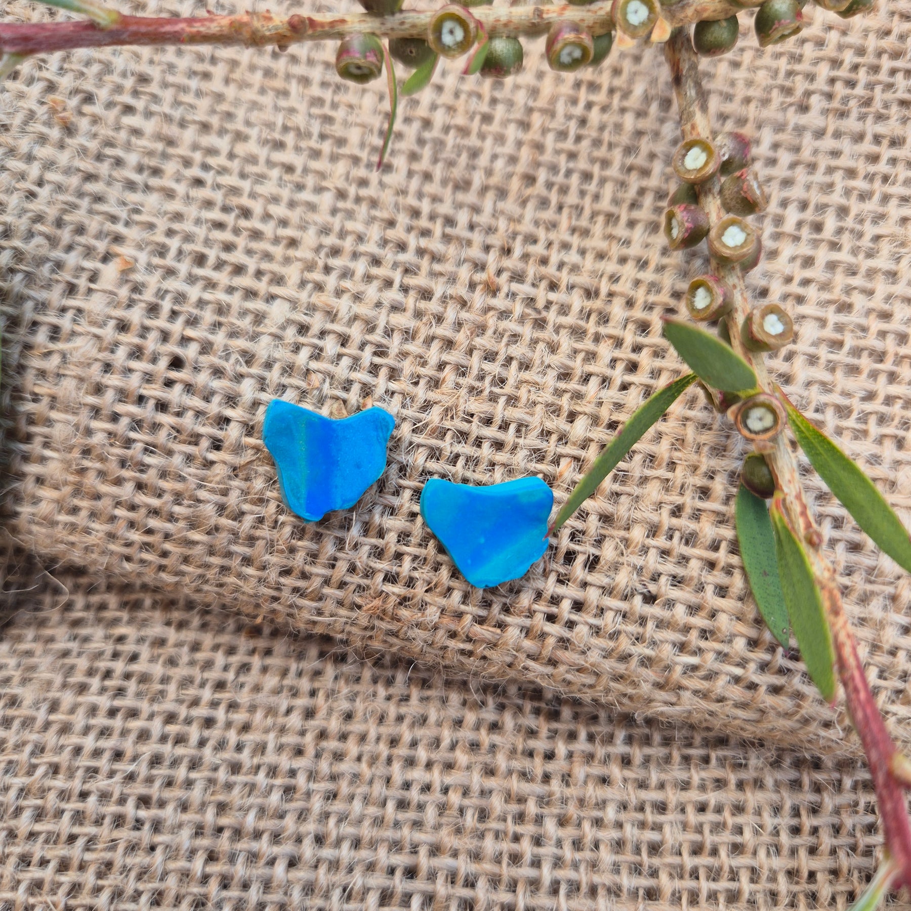 Map of Tasmania Earring Studs