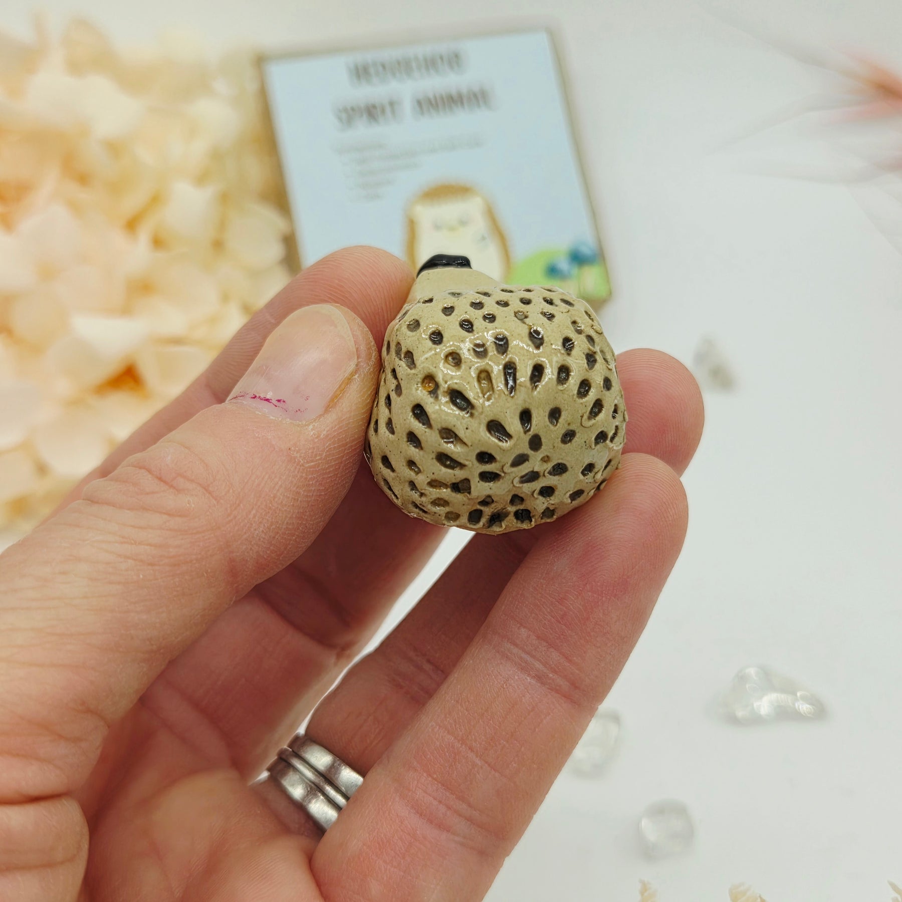 Spirit Animal - Hedgehog