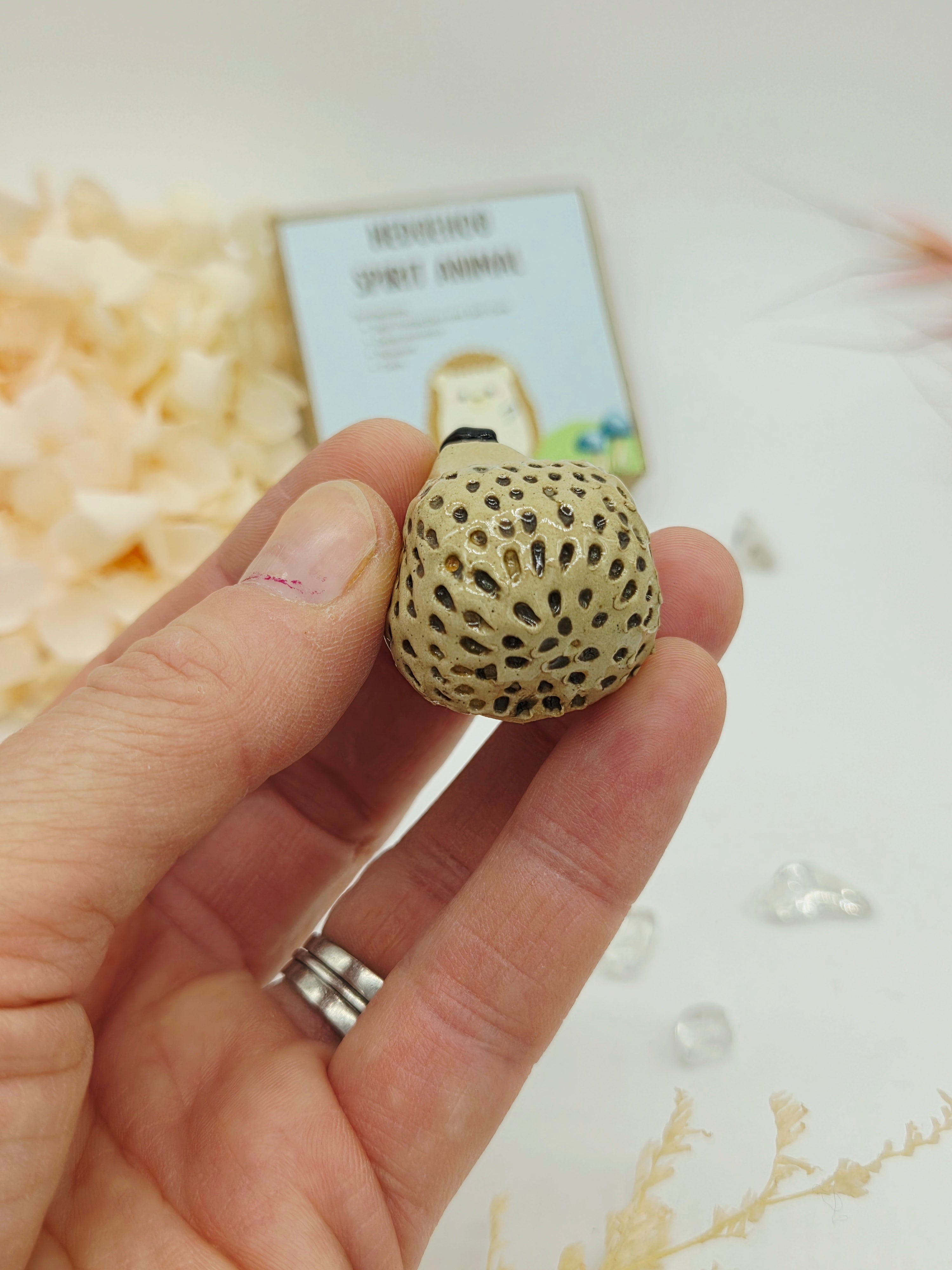 Spirit Animal - Hedgehog