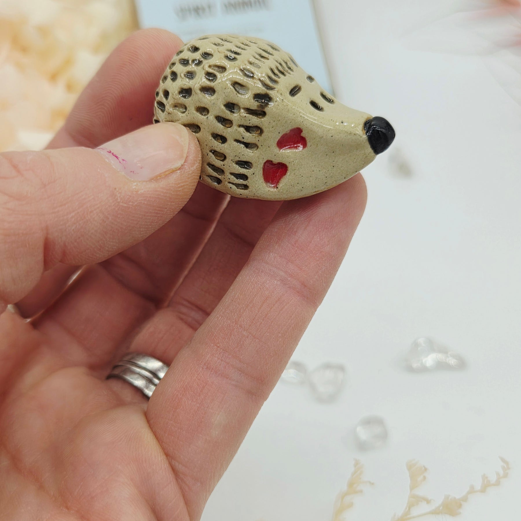 Spirit Animal - Hedgehog