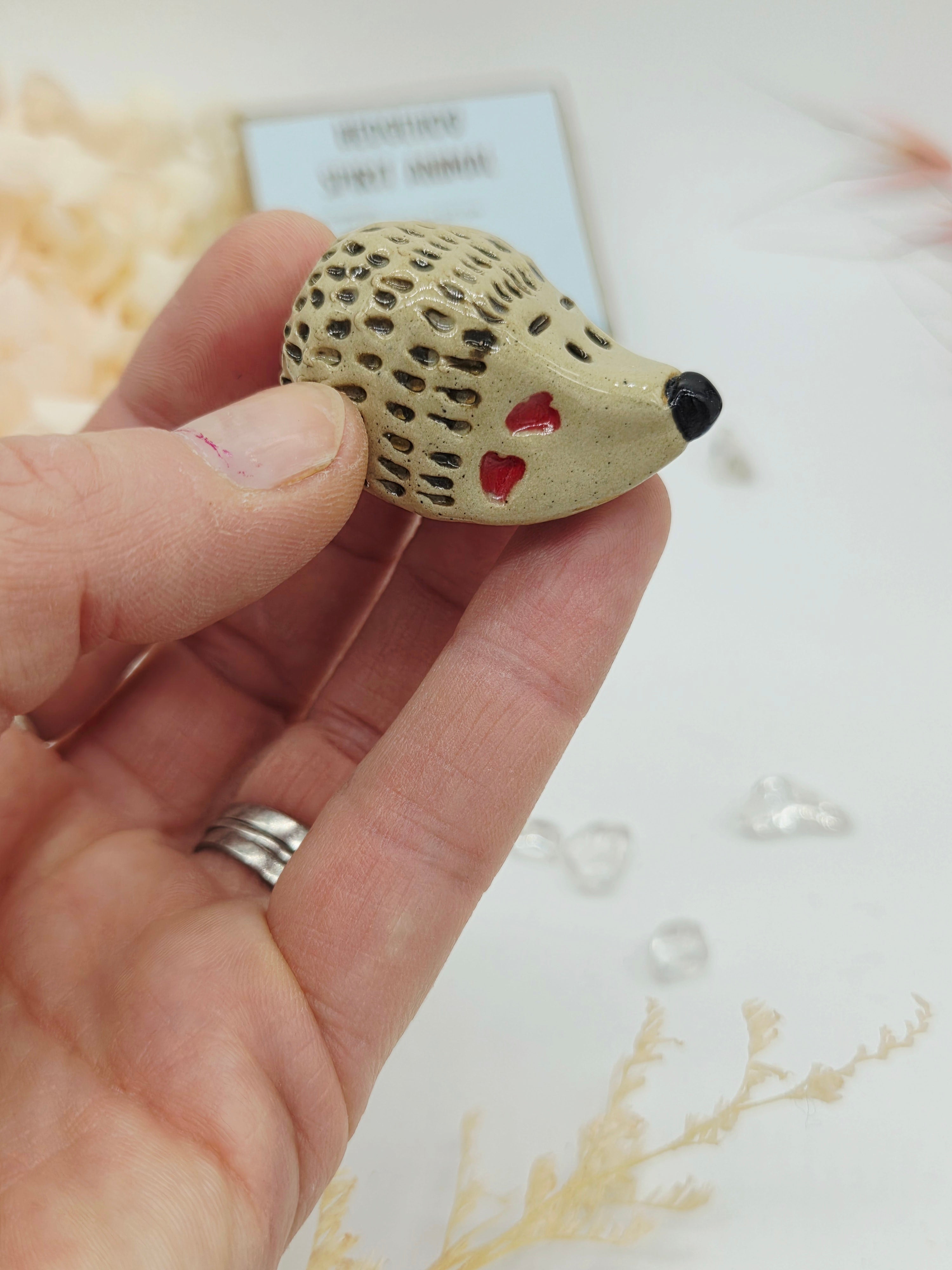 Spirit Animal - Hedgehog