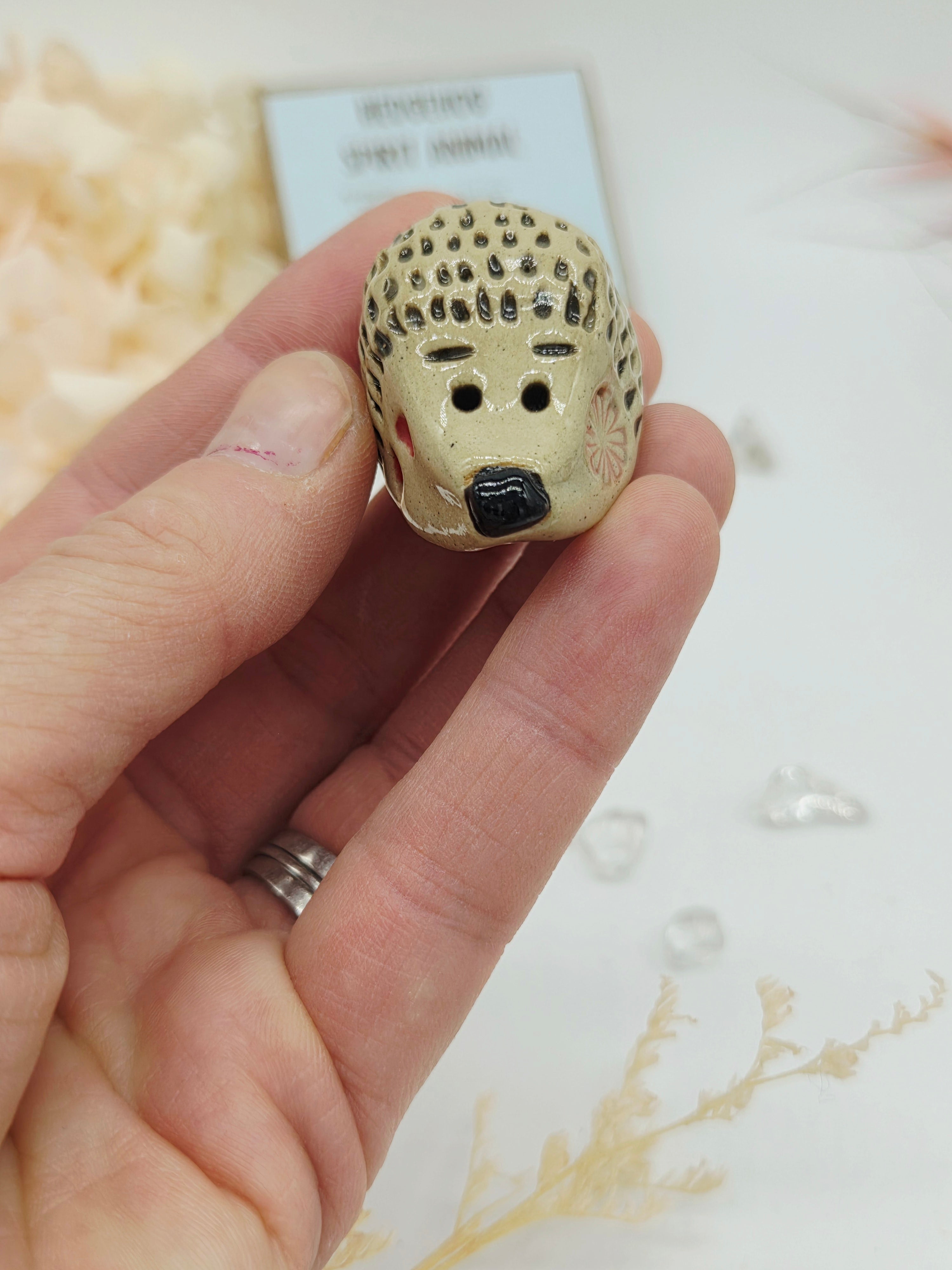 Spirit Animal - Hedgehog