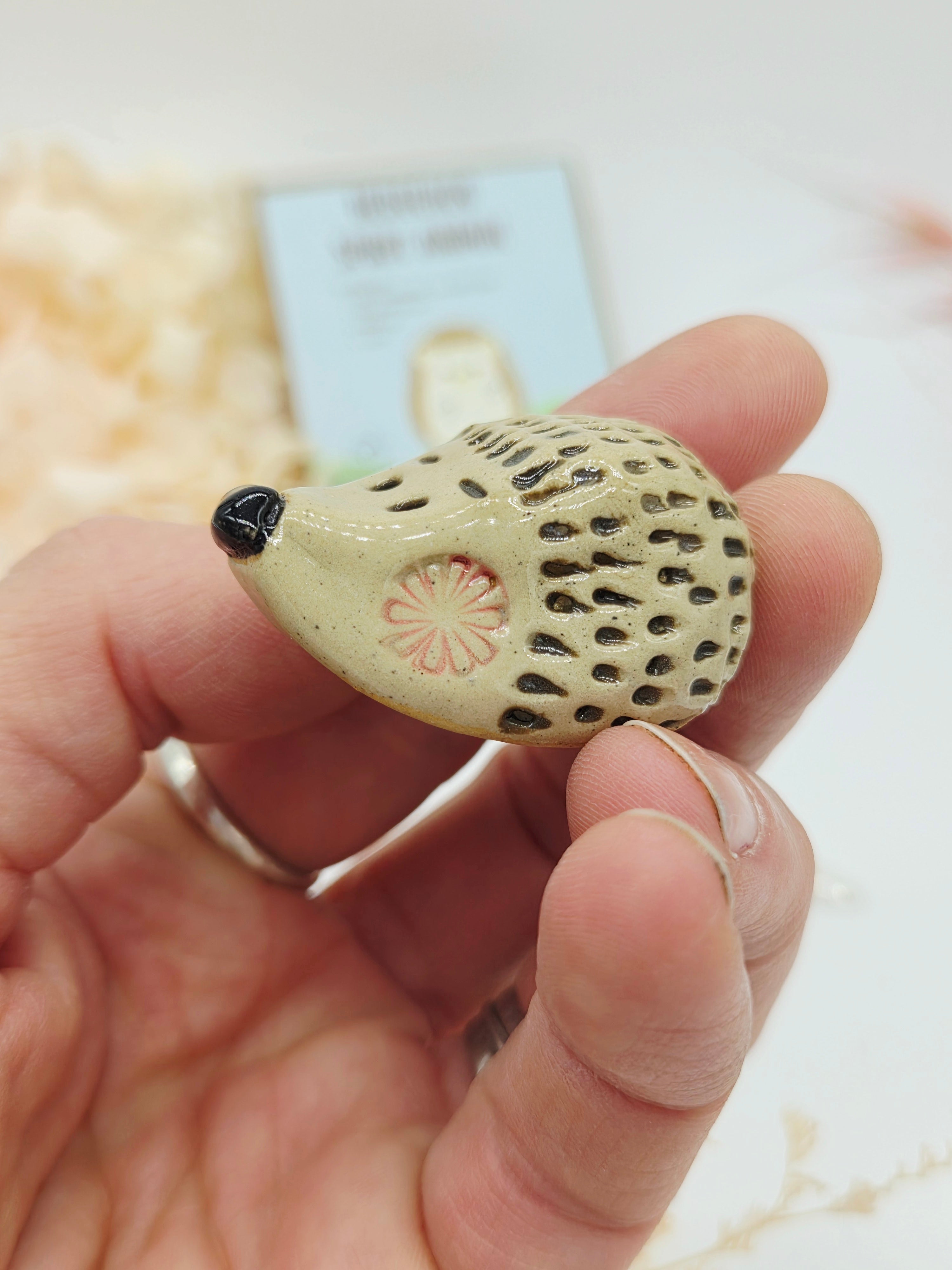 Spirit Animal - Hedgehog