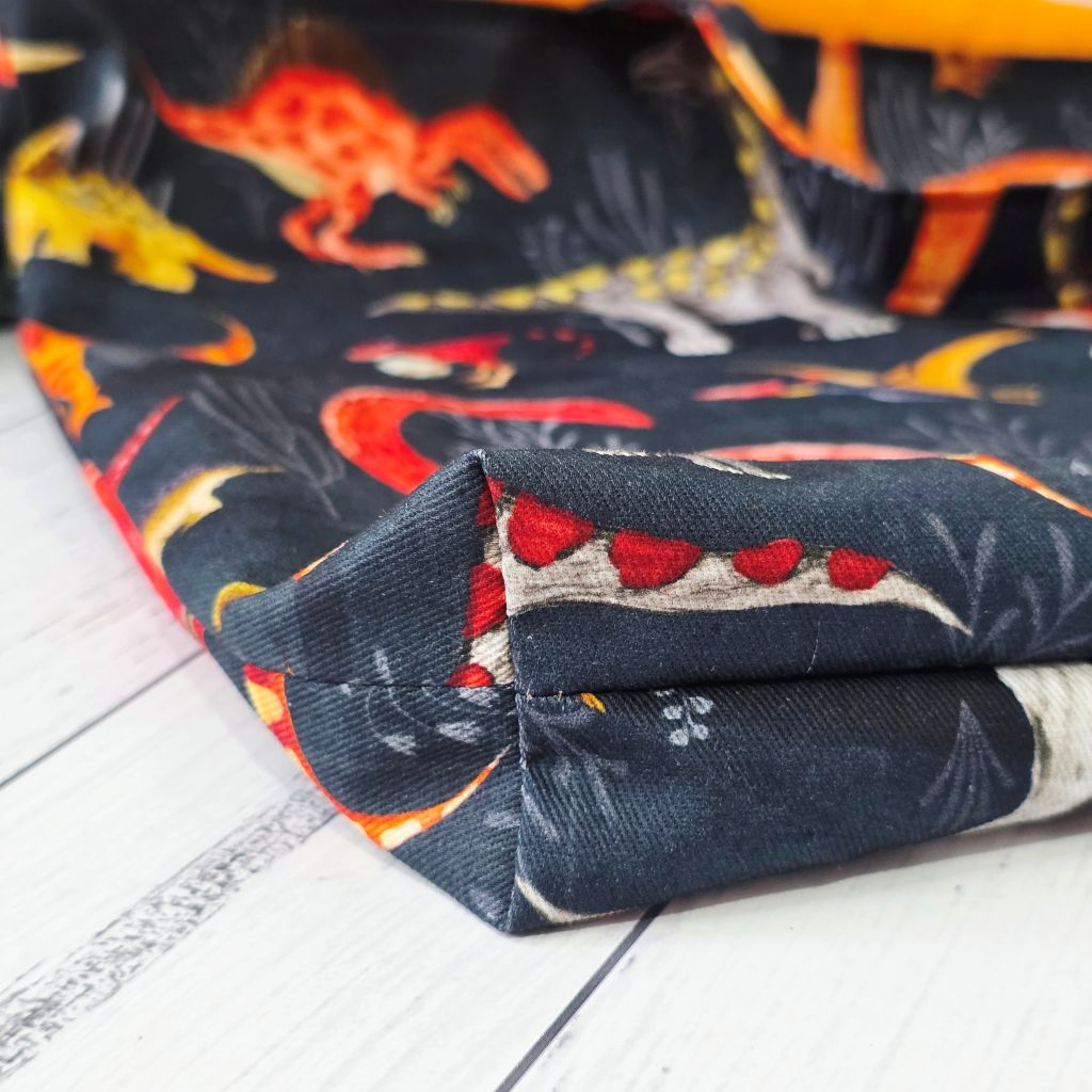 Dinosaur Book Bag / Library Bag