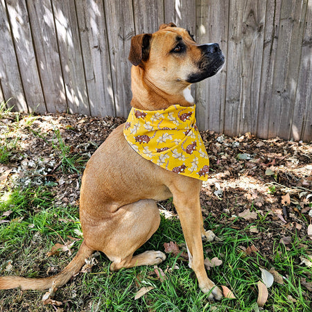 Spotted Quoll Bandana