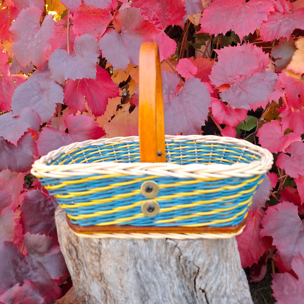 Small rectangular blue yellow basket.