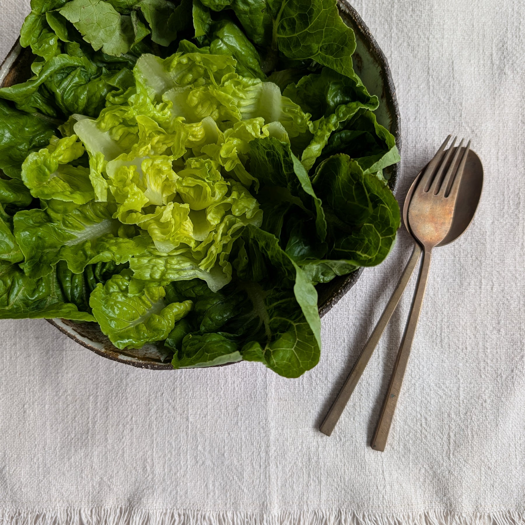 Ceramic Bowl | earthy • functional • everyday