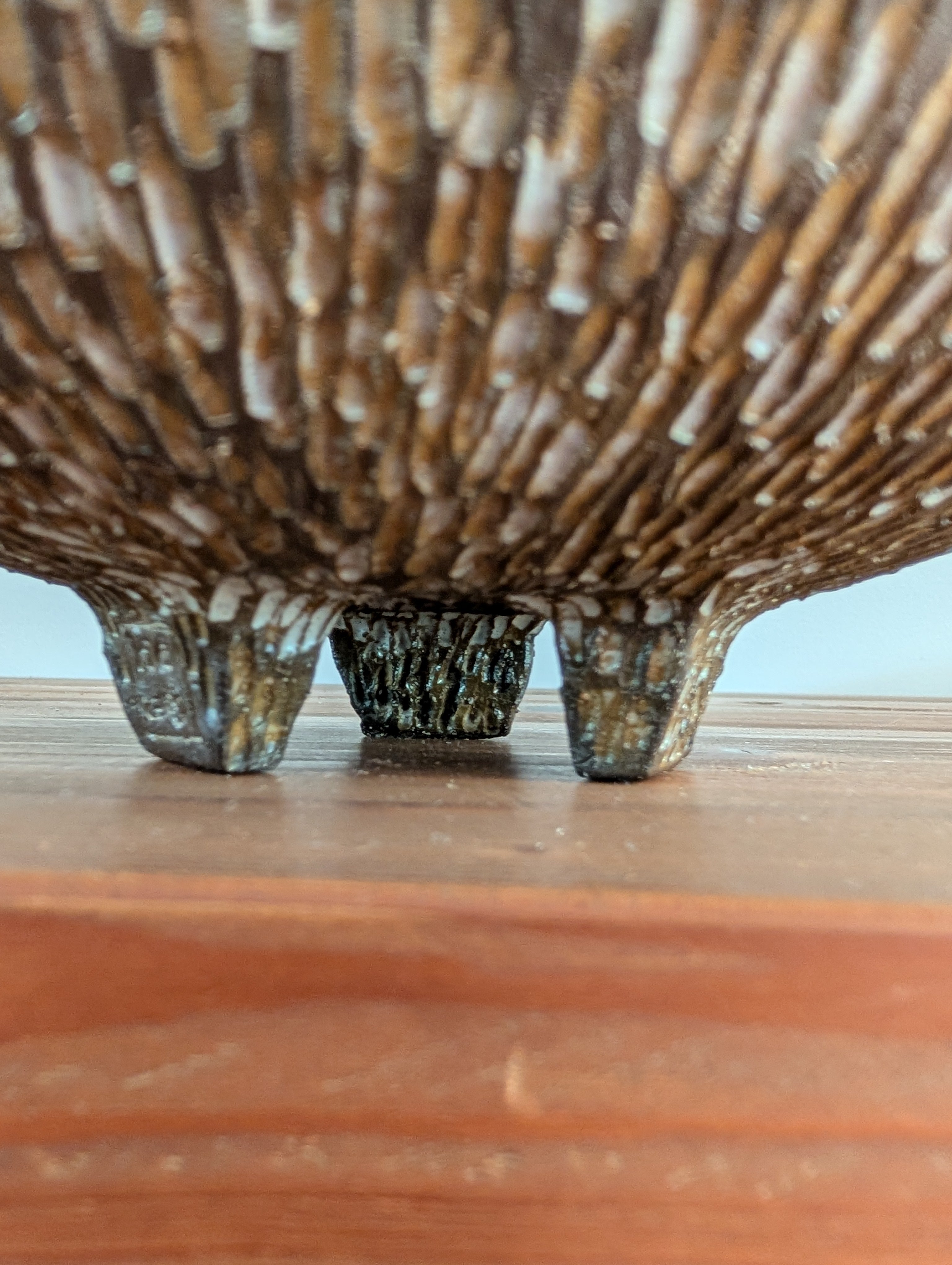 Ceramic Bowl | earthy • functional • everyday