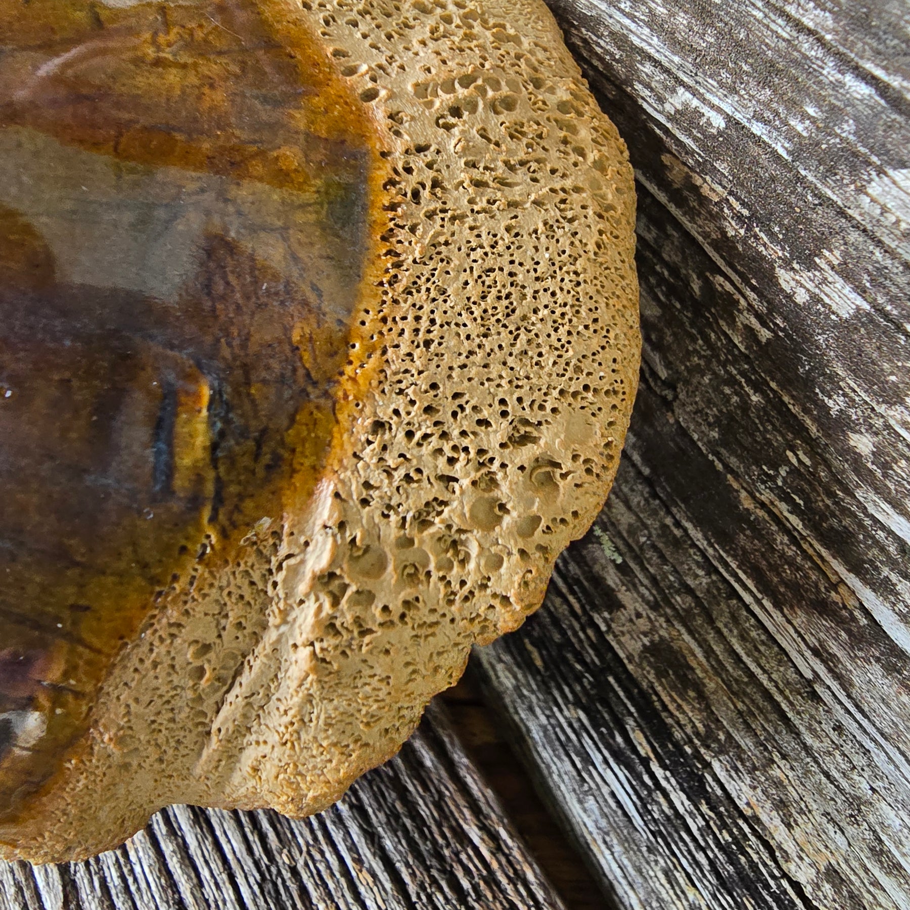 Rockpool series textured bowl