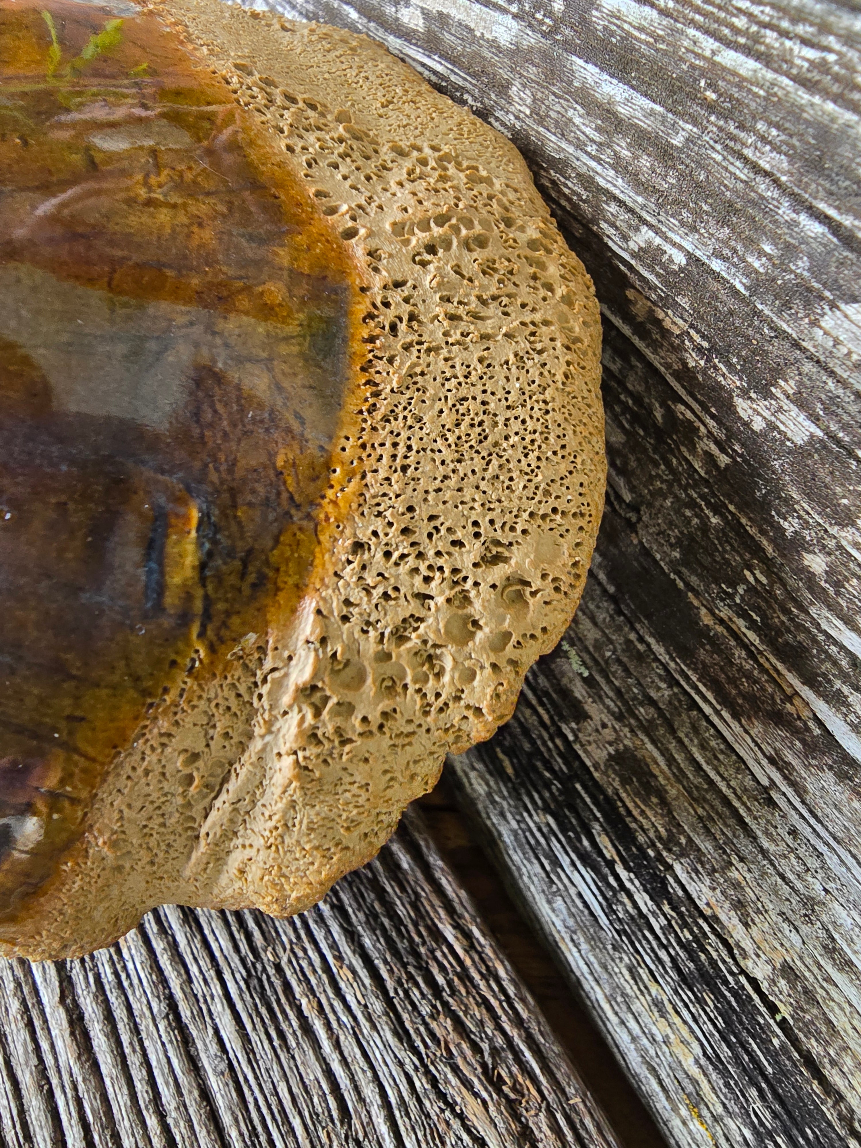 Rockpool series textured bowl