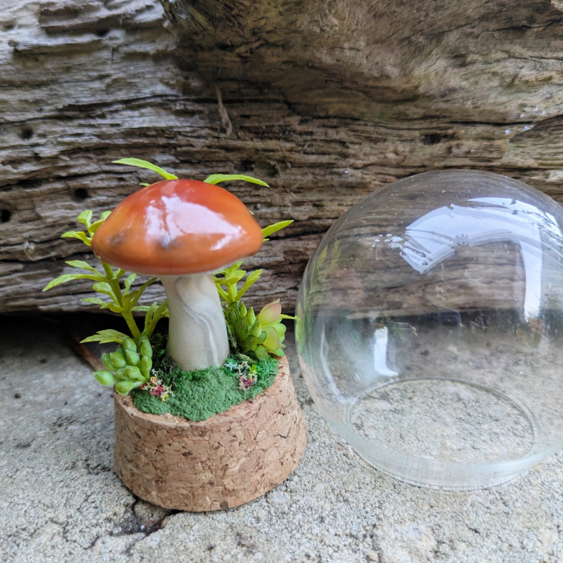 Woodland Mushroom Dome