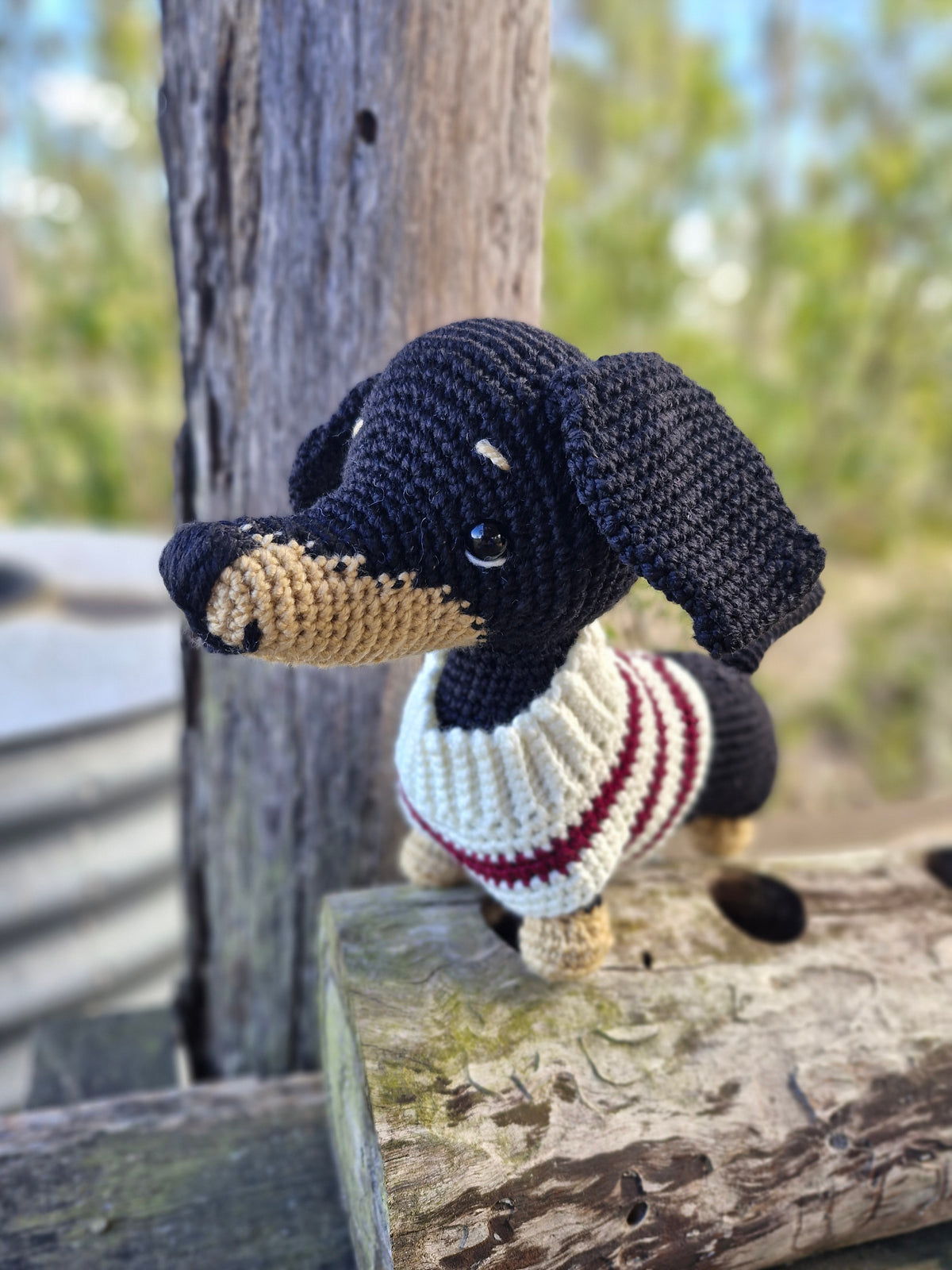 Hand crochet Bi-Colour Dachshund Dog (Sausage Dog)Orders