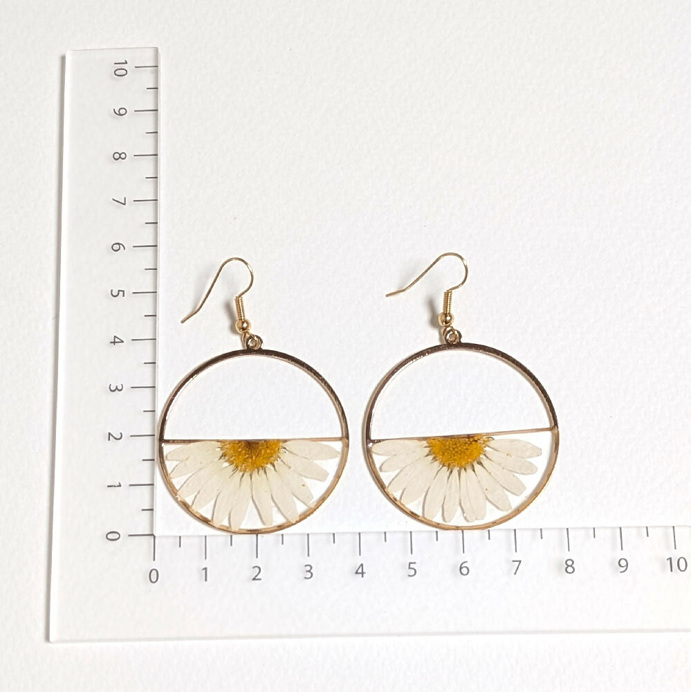 PXL_20250329_015717442