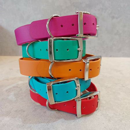 Waterproof dog collar - Bright Colours