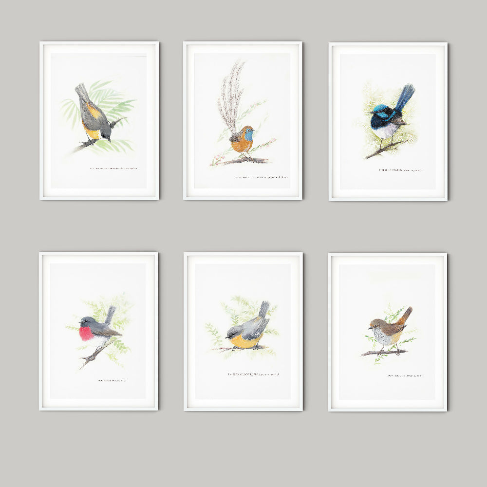 Birds MULTI FRAME WHITE PORTRAITE