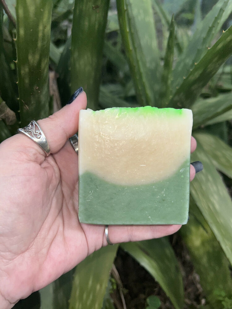 Aloe Vera and Moringa soap