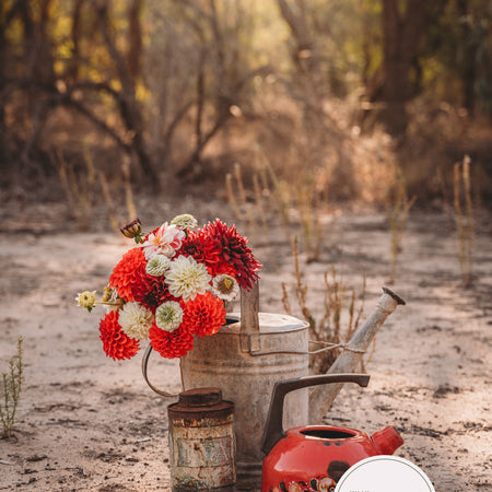 Whimsy in a Watering Can #1