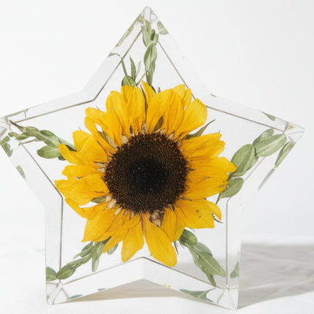 FOREVER BLOOMS - Botanical Star - Sunflower