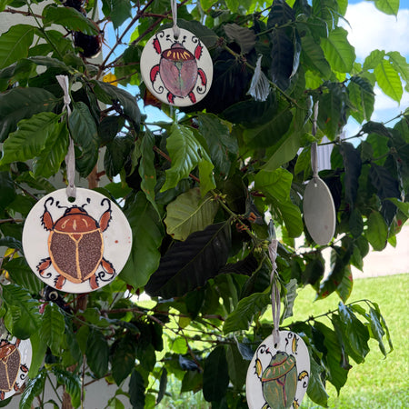 Australian Christmas Ceramic, Hand Painted Ornaments - Prawns and Christmas Beetles 2025