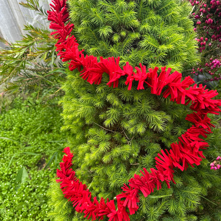 Feltsel the eco friendly tinsel for your tree