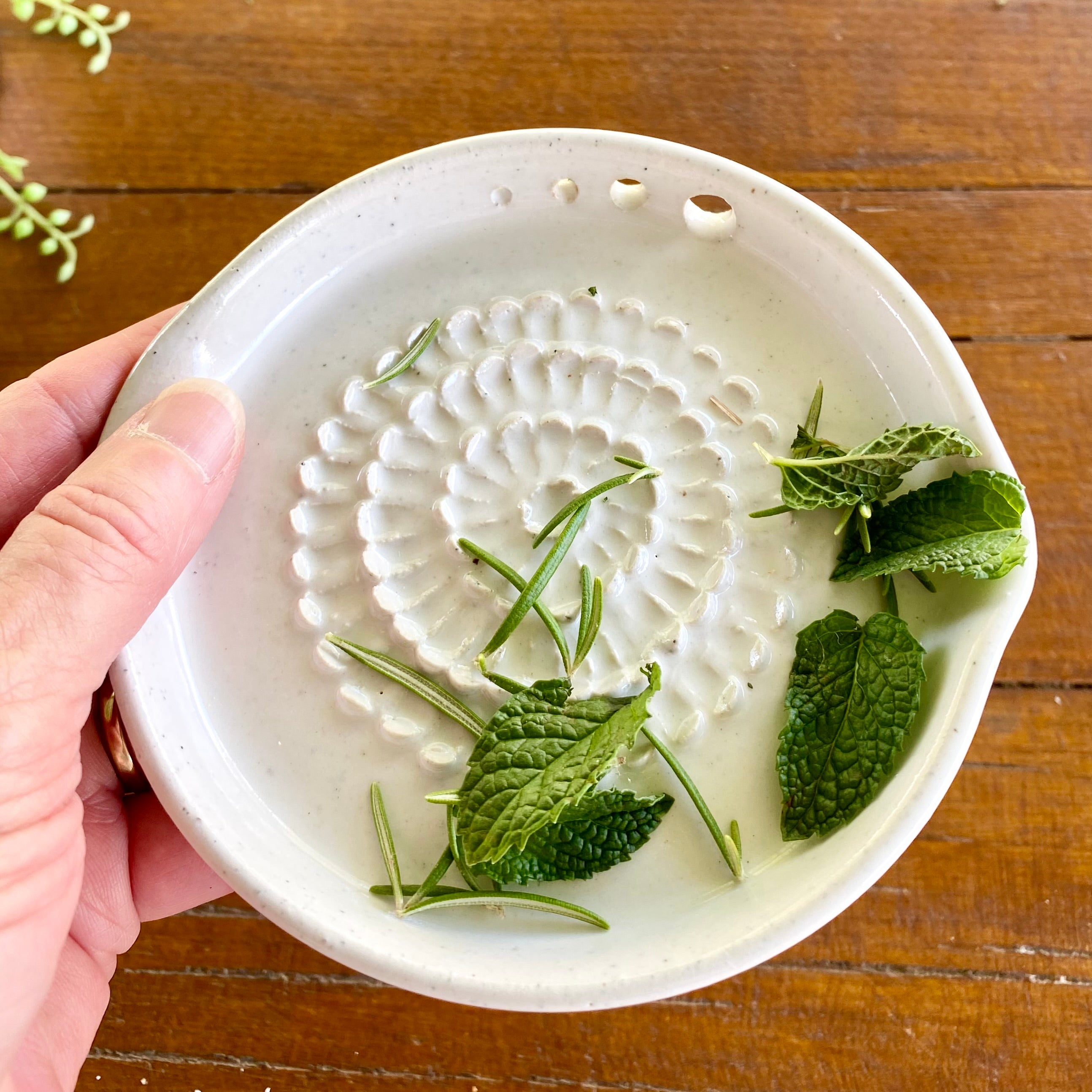 Ginger|Garlic Grater incl Stripper for Fresh Herbs|Handmade Pottery
