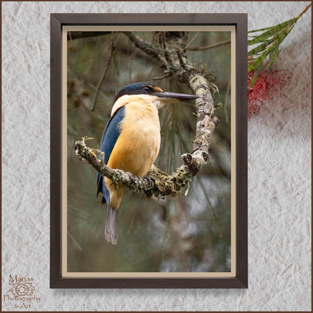 Photographic print | Wall Art | Sacred beauty