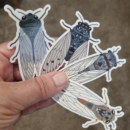 4 Different Cicada Bug Insect Stickers