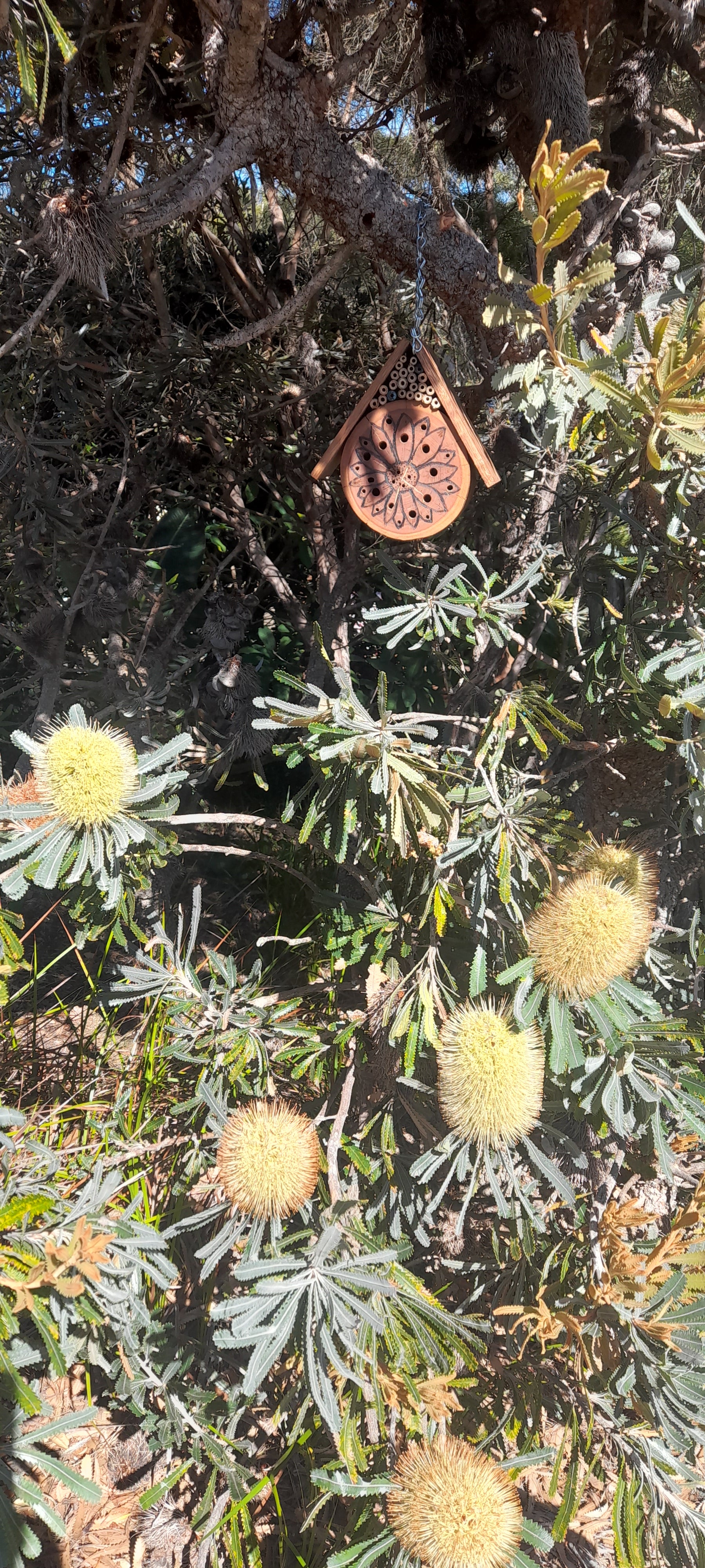 Hardwood Native Bee Hotel