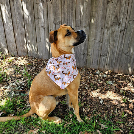 Numbat Bandanas