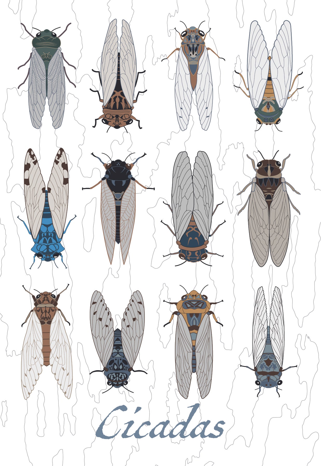 Cicada Bug Insect Blank Greeting Card